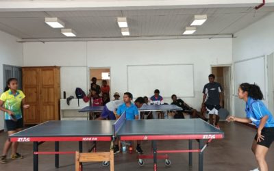 Le Tennis de Table à l’Honneur : Tournoi Inter-Établissements au Collège René-Cassin